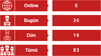 WordPress Ziyaretçi Sayacı Eklentisi